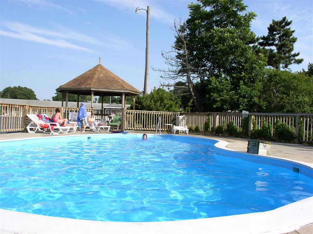 Birchwood Inn Чинкотиг Удобства фото
